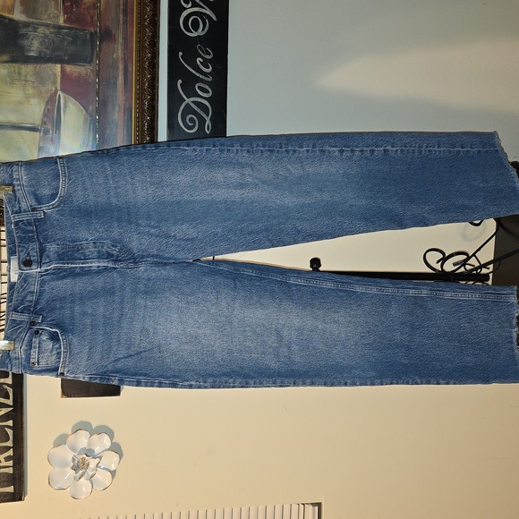 Rails Womens Blue Denim Jeans Waist Size 29 The Topanga High Rise Straight - Picture 1 of 10